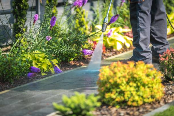 Best Sidewalk and Walkway Cleaning  in East Lake, FL