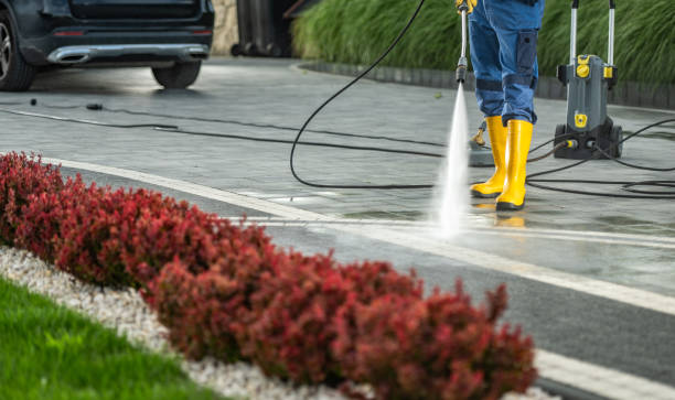 Boat and Dock Cleaning in East Lake, FL